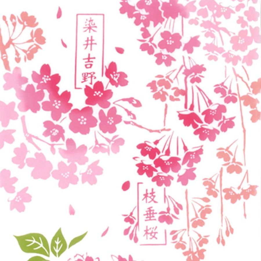 日本手ぬぐい 和柄 おしゃれ 桜図鑑 さくら 春柄 kenema 注染 手拭い