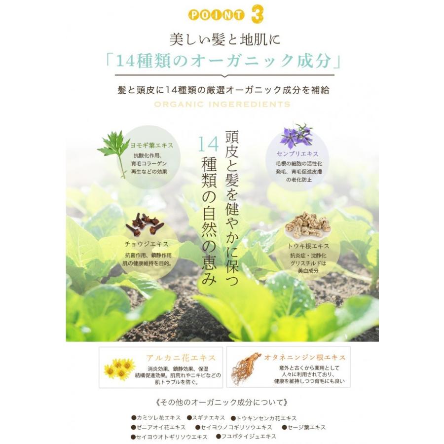 クラッセ ナチュラル オーガニックシャンプー バウンス 400ml×2 ＋ アウトバストリートメントゼリー 100mlの画像
