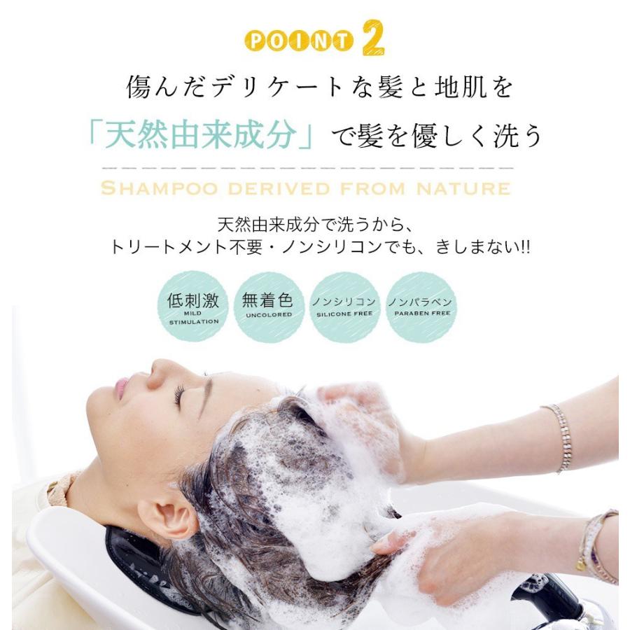 クラッセ ナチュラル オーガニックシャンプー バウンス 400ml×2 ＋ アウトバストリートメントゼリー 100mlの画像