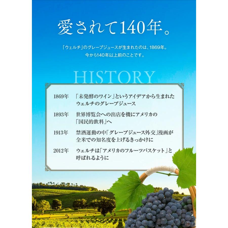 Welch's 夏ギフト 果汁 100％ WS30T 22本入り 父に日 お中元 お返し