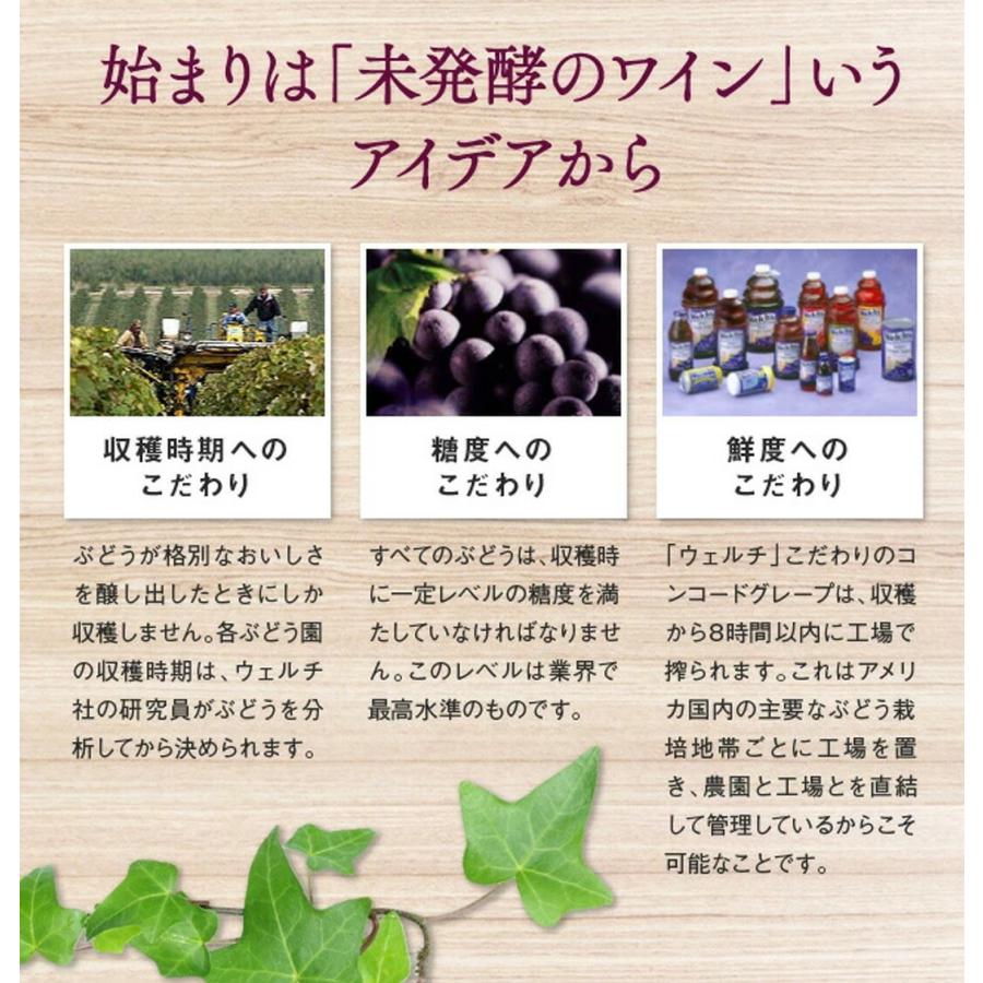 Welch's ウェルチ ギフト 果汁 100％ WS30T 22本入り 飲料