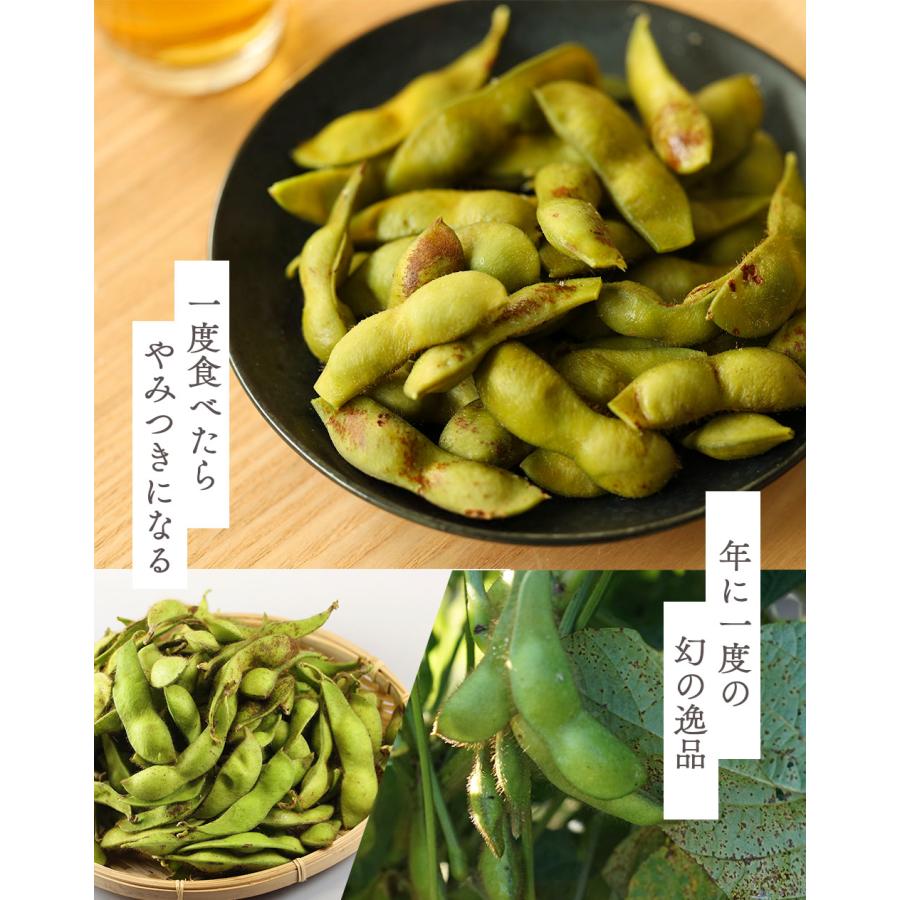 枝豆 2025 丹波 黒枝豆 500g × 2袋 ( さや ) t-2 もっちり 大粒 丹波黒