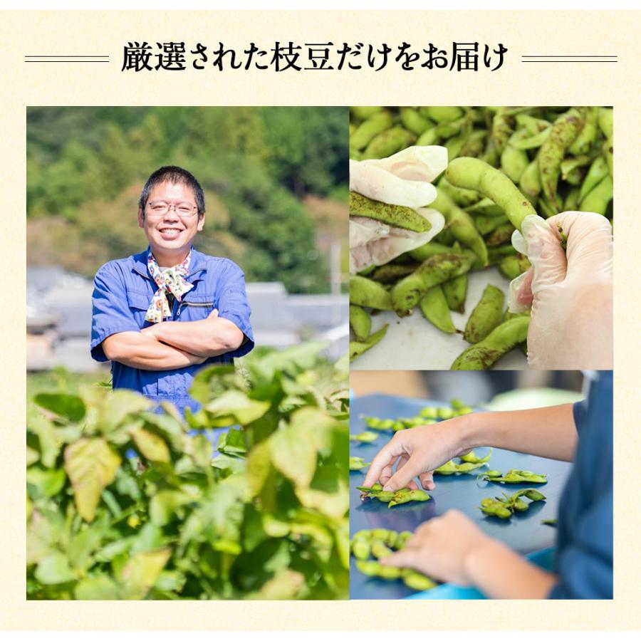 枝豆 2025 丹波 黒枝豆 500g × 4袋 ( さや ) t-4 もっちり 大粒 丹波黒