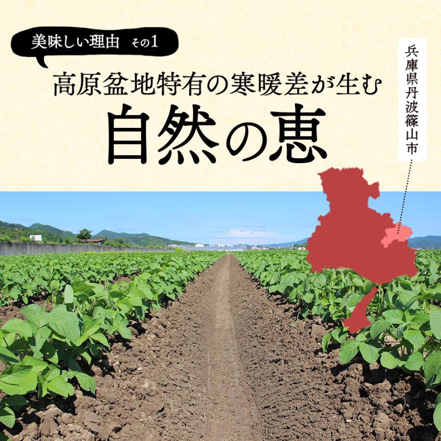 枝豆 2025 丹波 黒枝豆 500g × 4袋 ( さや ) t-4 もっちり 大粒 丹波黒