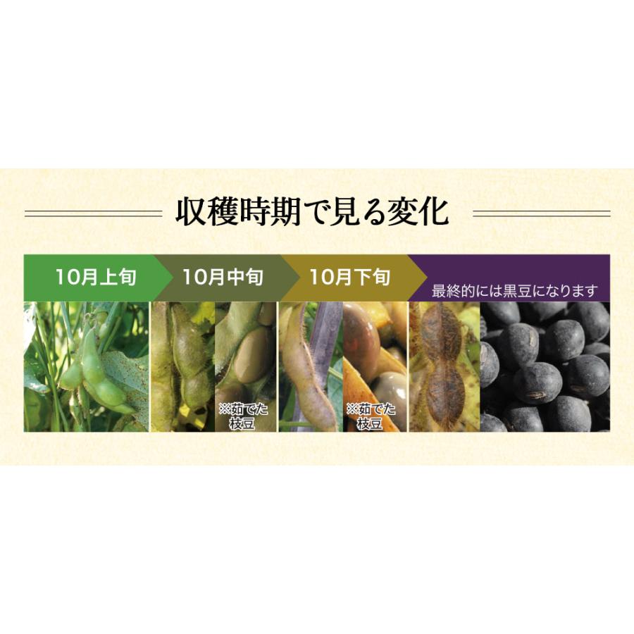 枝豆　黒豆 黒豆（塩味付） - 商品情報 - 冷凍食品・冷凍野菜はニチレイフーズ