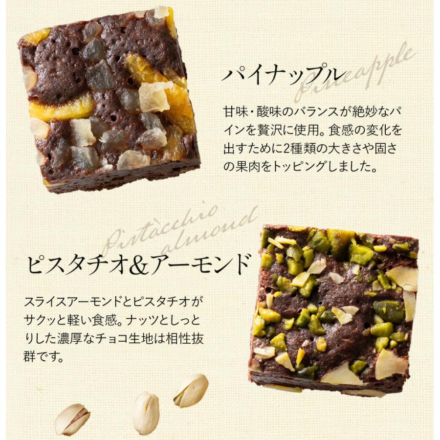 ホシフルーツ ナッツとドライフルーツの贅沢ブラウニー 9個 ホシフルーツ ナッツとドライフルーツの贅沢ブラウニー 9個