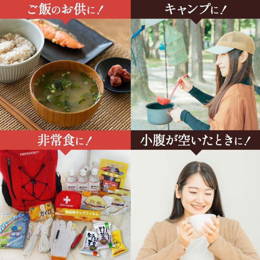 フリーズドライ 味噌汁 無添加 みそ汁 インスタント スープ フリーズドライ 味噌汁 無添加 みそ汁 インスタント スープ