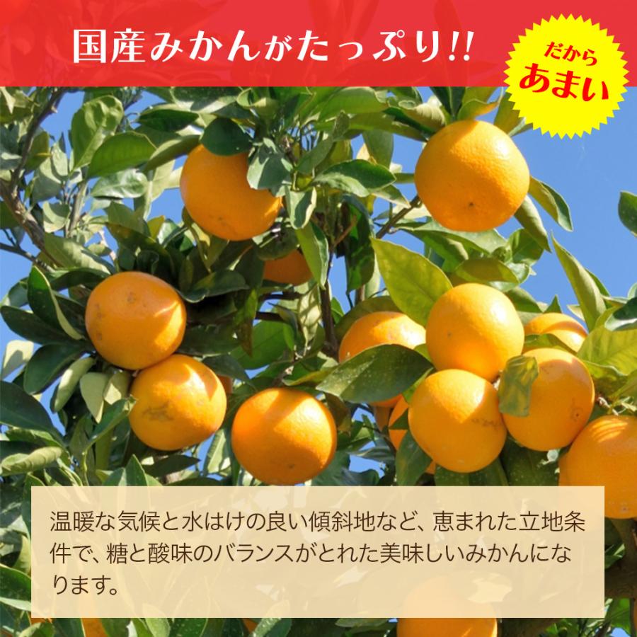 ゼリー ギフト まるごとみかんゼリー 12個 みかんゼリー 国産みかん