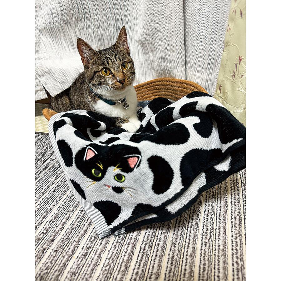 猫のひたいほどワイド 猫・魚柄のタオル ２種類 セット 今治タオル（imabari towel） うちのこ にゃんこ シリーズ ロング