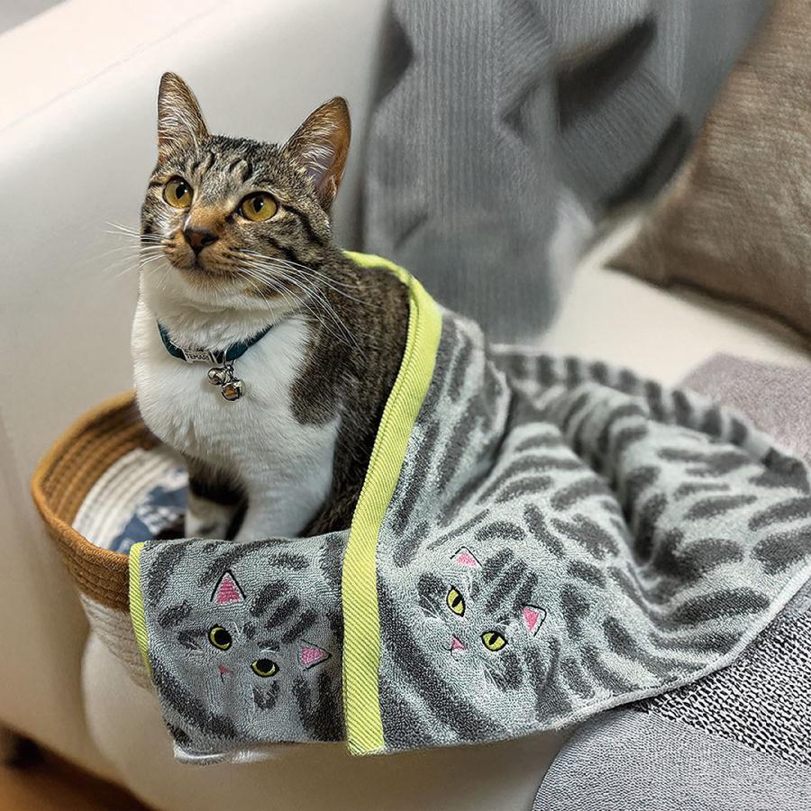 刀志猫のプワソン 4枚　即日発送 今治タオル（imabari towel） うちのこ にゃんこ シリーズ ロング