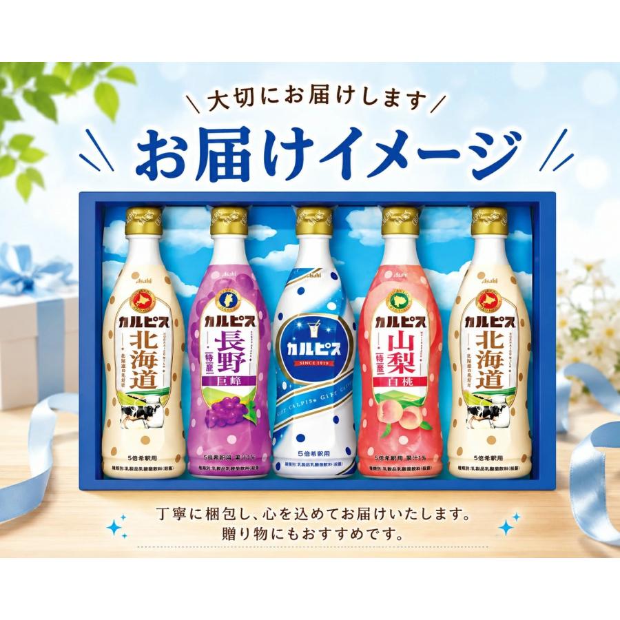 カルピス 2026年 ギフトセット 5本 CR30R ドリンクギフト 飲料ギフト