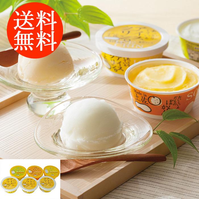 高知アイス 送料無料 高知 Made in 土佐「南の国の高知アイス」高知