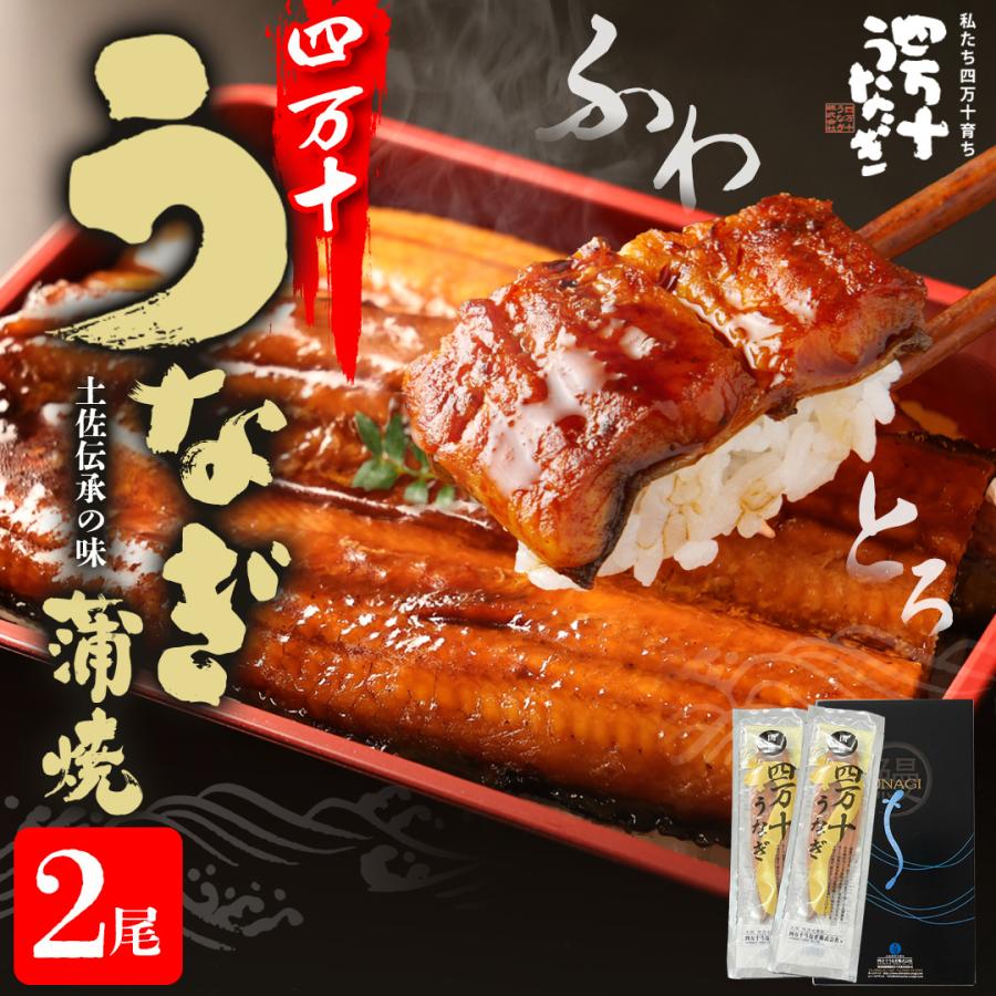 お中元 四万十うなぎ 蒲焼セット 140g 2尾 誕生日 ギフト プレゼント