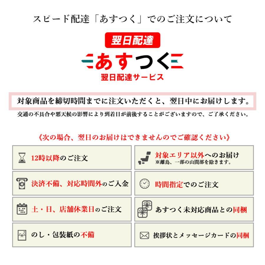 西川 Keeps ランバークッション 腰の枕 グレー HG93124652GR 香典返し 御供 プレゼント 内祝い ご挨拶 引越し : tz_｜deliverydelight｜02