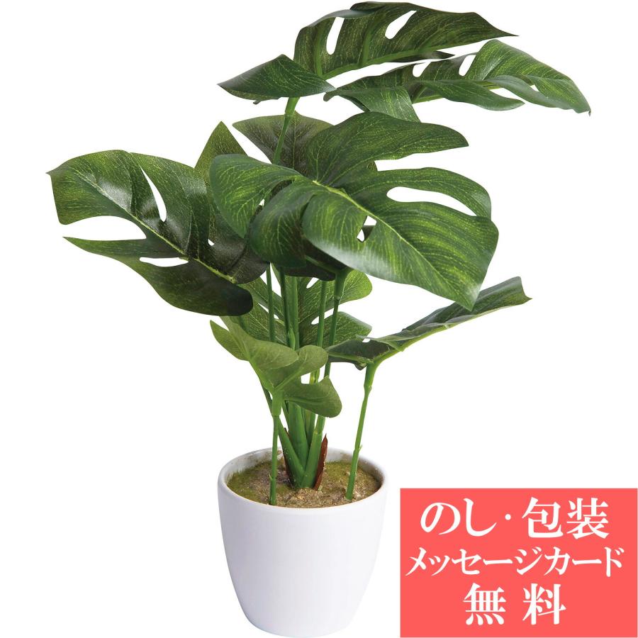Sc触媒加工 ミニ観葉 モンステラ フェイクグリーン Hsp Mo 人工観葉植物 父の日 Tri T0 036 Tri Hsp Mo ギフトのデリバリーディライト 通販 Yahoo ショッピング