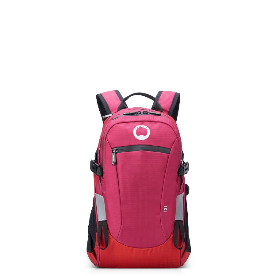 DELSEY デルセー リュックキャリーオン機能 21L バックパック ボルドー