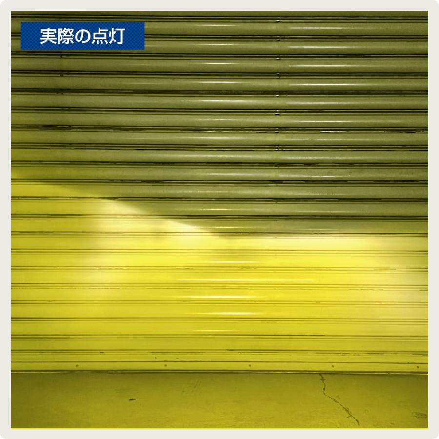 リラックス クニジップ] ボタニカルイラスト タロット 美しい写真 パジャマ メンズ