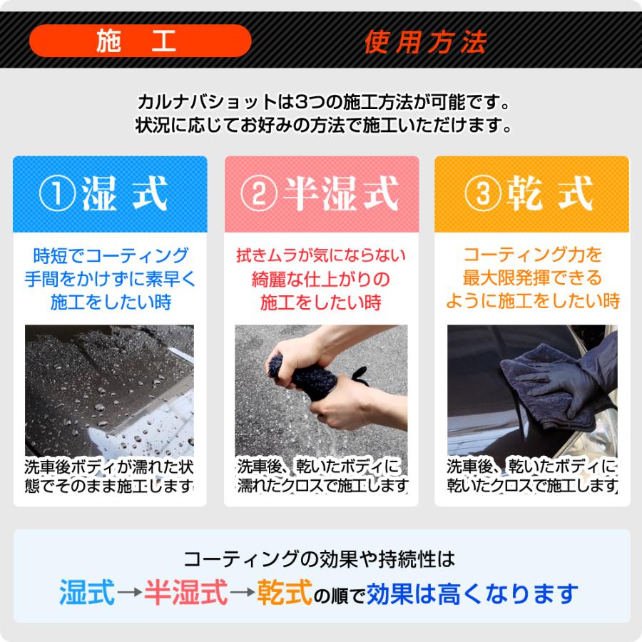 デルタダイレクト D-2316 ホーミングX カルナバショット 撥水コーティング剤 300ml 単品 ボディ/ホイール用 ワックス : デルタ ...
