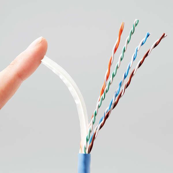 ELECOM（エレコム） LANケーブル 宅内LAN CAT6A CAT6A対応 長尺