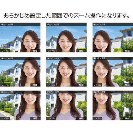 アイホン（aiphone） WS-14A 録画機能付 テレビドアホン カメラ付玄関