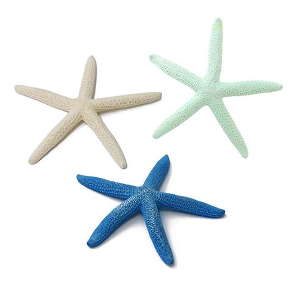 Steuben Galss スターフィッシュ ヒトデ 置物 71XpDPqwrmL._AC_UF894,