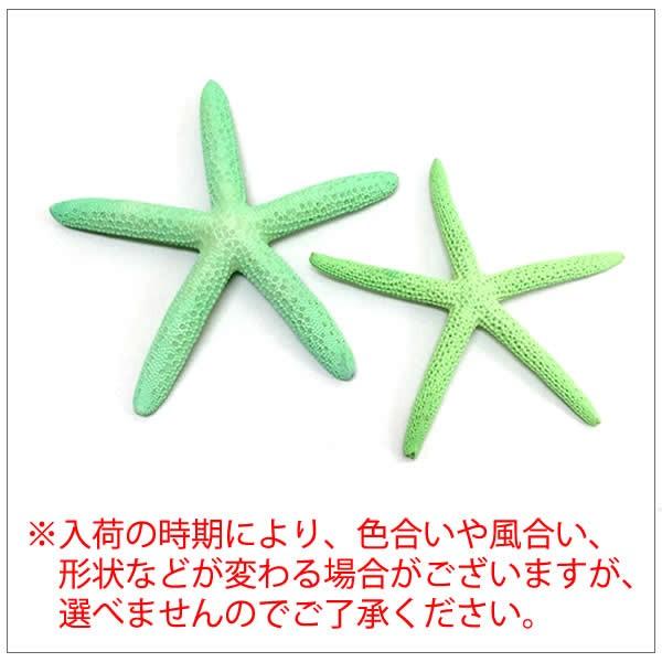 Steuben Galss スターフィッシュ ヒトデ 置物 マリン E 3個 スターフィッシュ ヒトデ ディスプレー インテリア