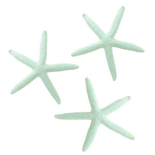 マリン E 3個 スターフィッシュ ヒトデ ディスプレー インテリア