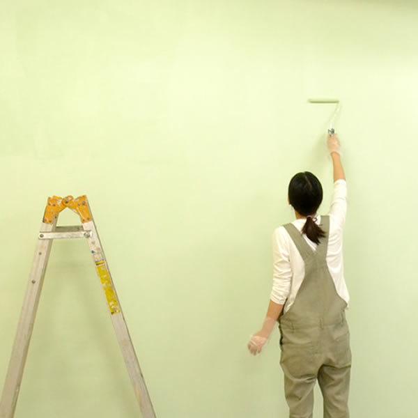 漆喰&ペンキ4個セット