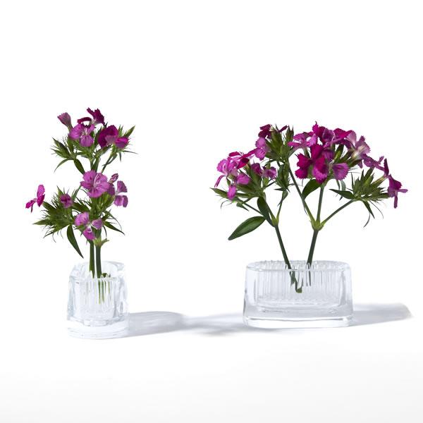 d MICHI-KUSA ミチクサ 2個セット ラウンド 1個＋ オーバル だ