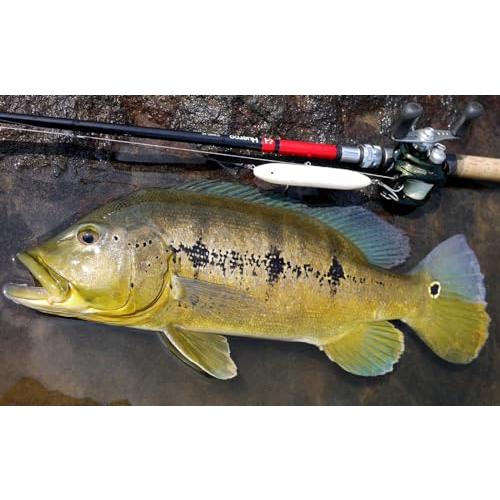 Huerco フエルコ XT605R-4C 4ピース ベイト パックロッド : ポタリング