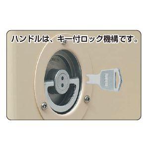 未来工業 強化ボックス FRP樹脂製防雨常設ボックス 浅形・屋根付〈タテ 