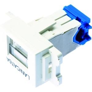 Panduit LANケーブルコネクタ (JASSP6ATGIW)8 個セット パンドウイット カテゴリ6AJISプレート用ジャックキット オフホワイト