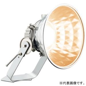 岩崎電気 LED投光器 屋外・屋内用 65Wタイプ 広角タイプ 電球色(2250K