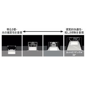 ネット店 遠藤照明 10台セット LEDデザインベースライト リニア50 埋込開放タイプ 2600lmタイプ ERK1018W+RAD-809WA_set
