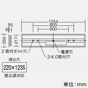 DAIKO 非常用LED長形ベースライト 40形 埋込形 幅220mm 6900lmクラス 非調光 白色 LZE-93064XW+LZA-92824N_1