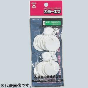 未来工業 線名札 ≪カラーエフ≫ クイックタイプ 小判形 20×30mm 結束