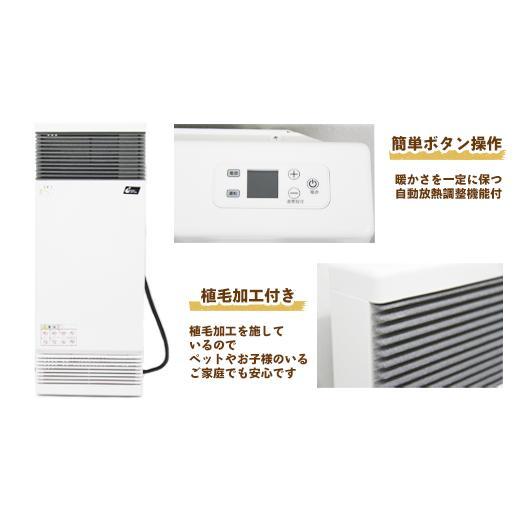 インターセントラル メーカー直送品/代引き不可 パネルヒーター 自然対流式パネル型ヒーター 縦型タイプ 100V 1000W TPN-1001Aの画像