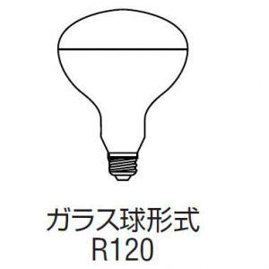 岩崎電気 ケース販売 10個セット 屋外投光用アイランプ 散光形 110V