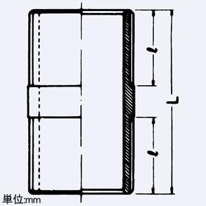 岩崎電気 ニップル 屋内・屋外用 適合電線管16(PF1/2) EXNP16 岩崎電気 ニップル 屋内・屋外用 適合電線管16(PF1/2) EXNP16