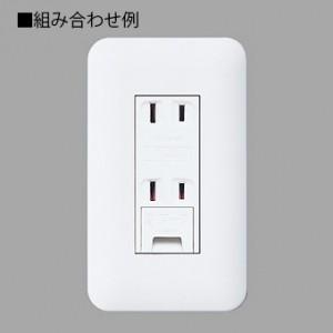 Panasonic パナソニック 埋込アースターミナル付ダブル