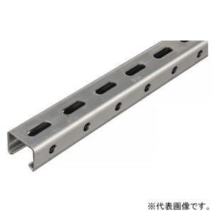 ネグロス電工 メーカー直送品/代引き不可 チャンネル ワールドダクター 