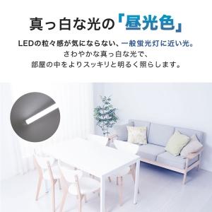 ECO DEVICE 直管形LED 40形 昼光色 10本セット エコデバイス 10本セット 40形相当 LED直管ランプ(昼光色) 工事不要