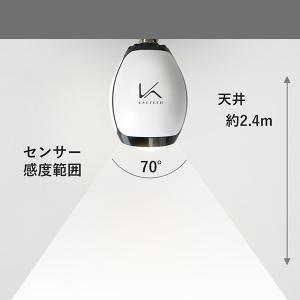 KALTECH カルテック 光触媒 脱臭LED電球 電球色 KLB01 : 電材堂ヤフー