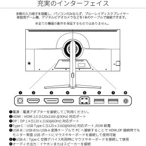 JAPANNEXT 法人様限定 39.7インチ 曲面 R2500 5K2K解像度 JAPANNEXT 法人様限定 39.7インチ 曲面 R2500 5K2K解像度