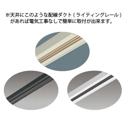 専用　同梱 NEC ホタルクス(NEC) 配線ダクト用スポットライト E26口金 ホワイト