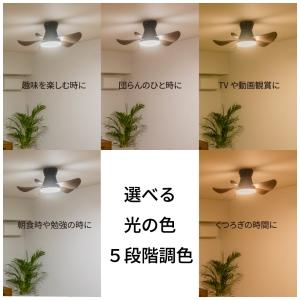 ホタルクス LEDシーリングファン 〜6畳用 5段階調色 5段階調光 ゆらぎ機能 風量6段階 XZF-06433KRCSG_2
