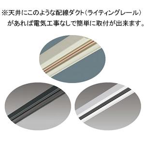 コイズミ照明 LEDシリンダースポットライト プラグタイプ 散光配光 非調光 昼白色 ランプ付 AS51734_2