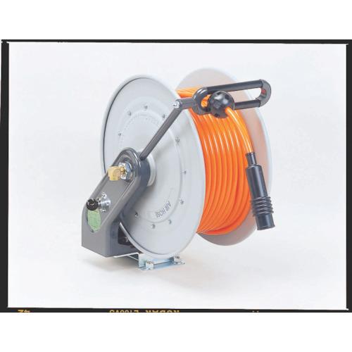 美！アジア アナグマ（Asian badger）の頭骨 ☆ 即納 ☆ 美！アジア アナグマ（Asian badger）の頭骨 - 頭骨・骨格