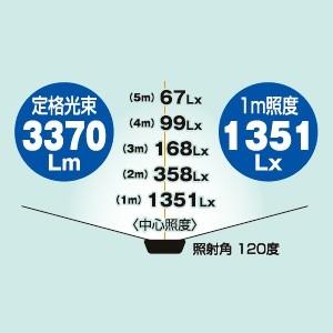 日動工業 LED作業灯50W 灯具のみ 簡易防雨型 昼光色 6000K 定格光束