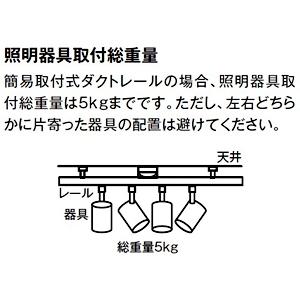 DAIKO ダクトレール 簡易取付式 スライドタイプ 回転30° スライド両側各300mmまで 白 DP-42034Wの画像